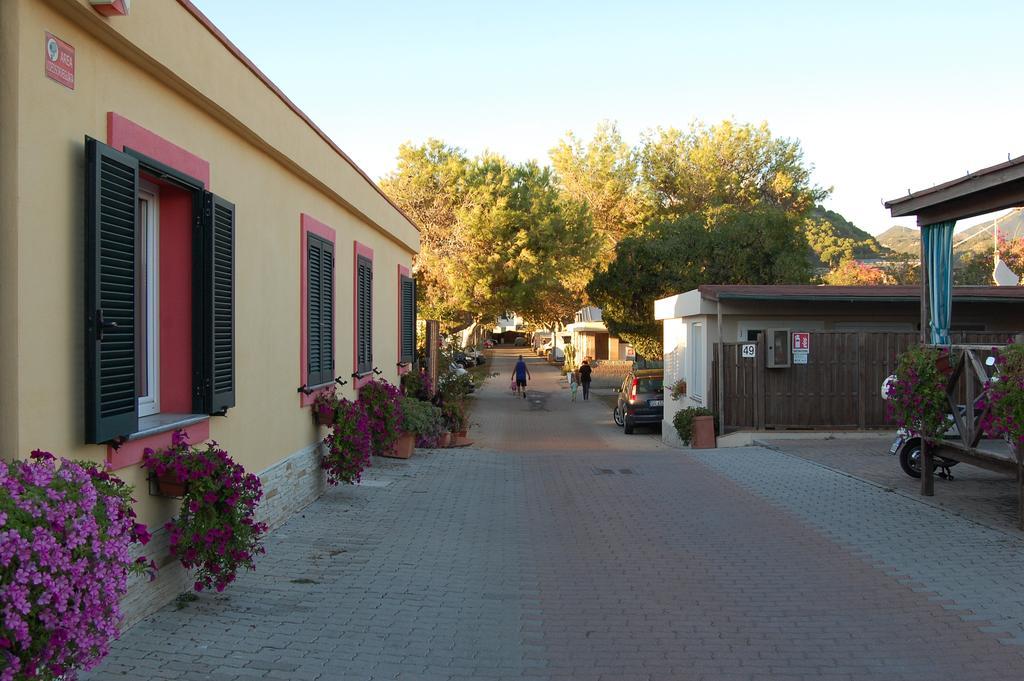 Campeggio Camping *