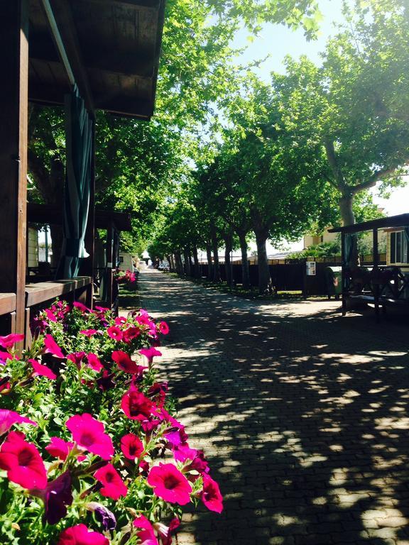 Camping Vallecrosia